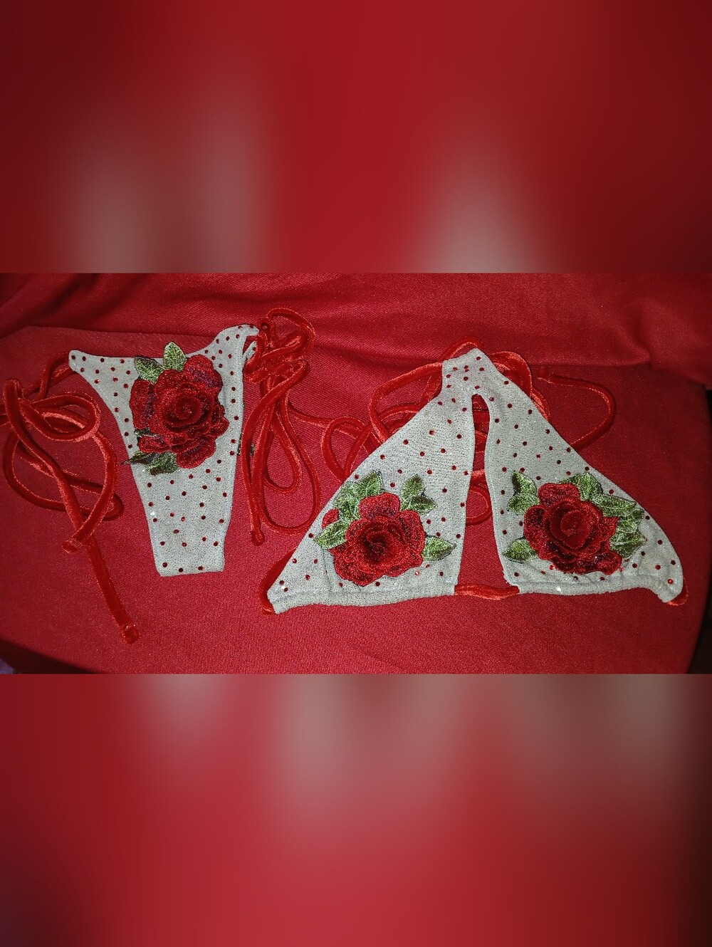 Red Rose Appliqué Bikini Set, White with Red Embroidery and Rhinestone, Lingerie